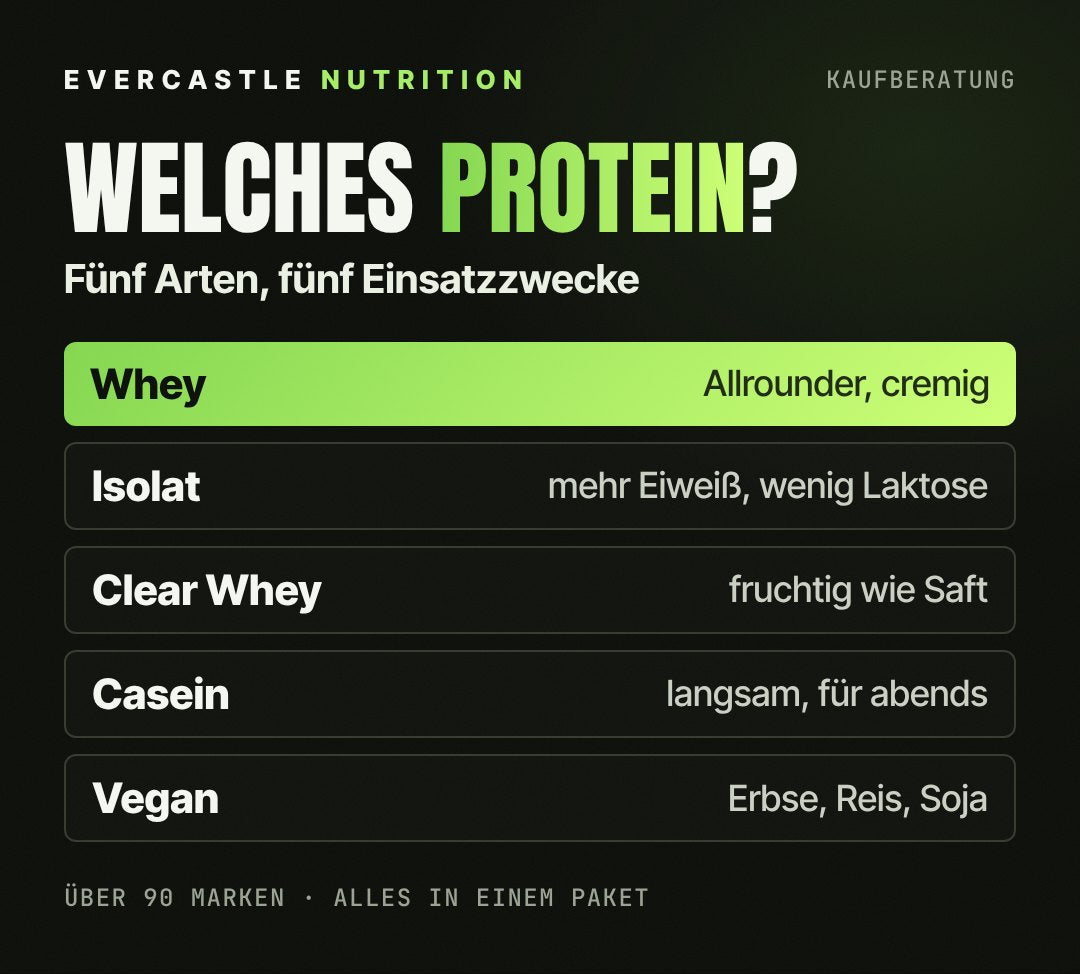 Übersicht Proteinpulver: Whey als Allrounder, Isolat mit mehr Eiweiß, Clear Whey fruchtig, Casein für abends, veganes Protein ohne Milch