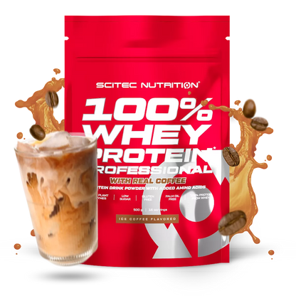 Scitec 100% Whey Professional 500g – Evercastle Nutrition