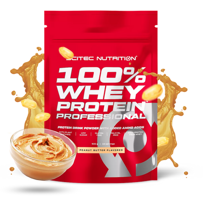 Scitec 100% Whey Professional 500g – Evercastle Nutrition