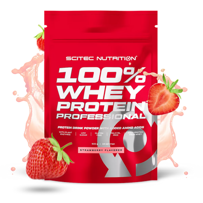 Scitec 100% Whey Professional 500g – Evercastle Nutrition