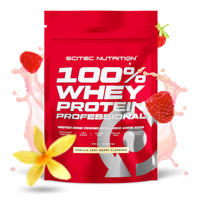 Scitec 100% Whey Professional 500g – Evercastle Nutrition